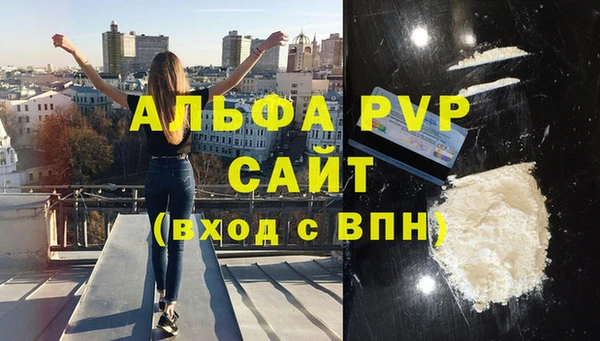 крисы Осинники