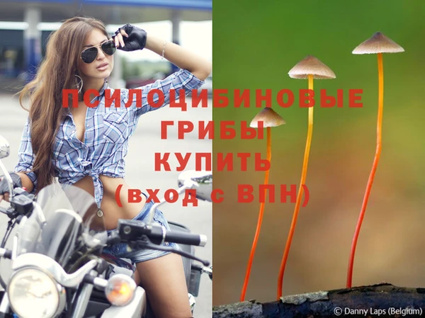 каннабис Алексеевка