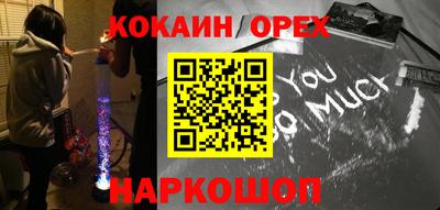 гидра Бердск