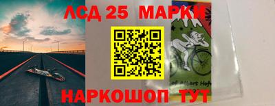 гидра Бердск