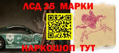 гидра Бердск