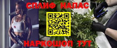 гидра Бердск