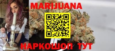гидра Бердск