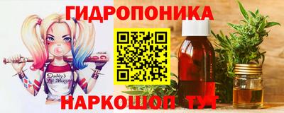 гидра Бердск