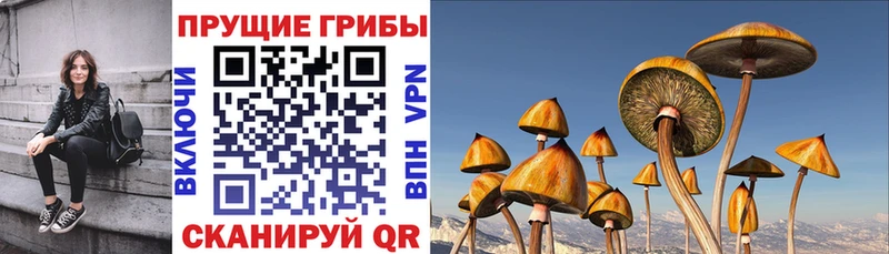 Псилоцибиновые грибы MAGIC MUSHROOMS  Курганинск 