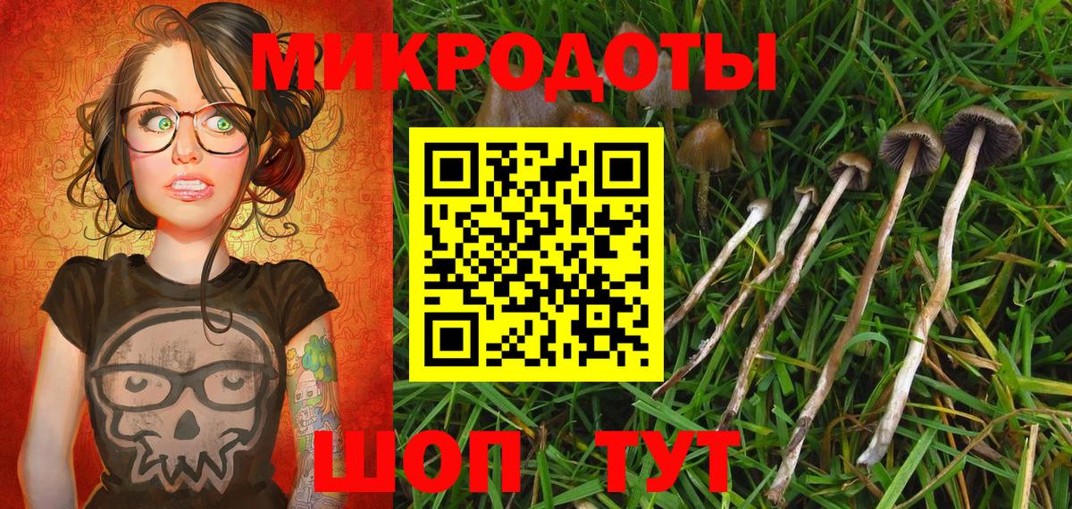 Псилоцибиновые грибы Cubensis Курганинск