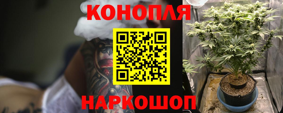 МАРИХУАНА планчик  Вход с VPN  Курганинск  Бошки Шишки сатива  Бошки Шишки LSD WEED 